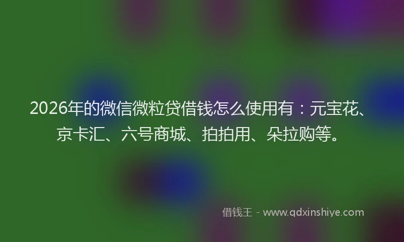 2026年的微信微粒贷借钱怎么使用有：元宝花、京卡汇、六号商城、拍拍用、朵拉购等。