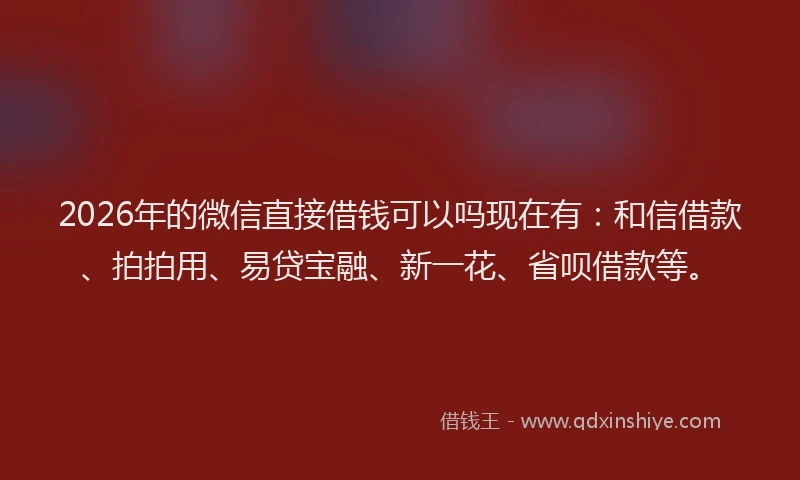 2026年的微信直接借钱可以吗现在有：和信借款、拍拍用、易贷宝融、新一花、省呗借款等。