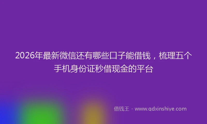 2026年最新微信还有哪些口子能借钱，梳理五个手机身份证秒借现金的平台
