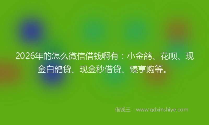 2026年的怎么微信借钱啊有：小金鸽、花呗、现金白鸽贷、现金秒借贷、臻享购等。