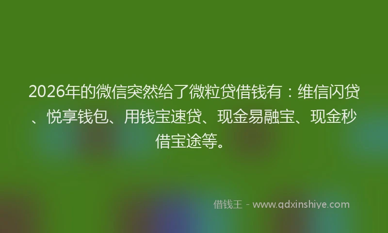 2026年的微信突然给了微粒贷借钱有：维信闪贷、悦享钱包、用钱宝速贷、现金易融宝、现金秒借宝途等。