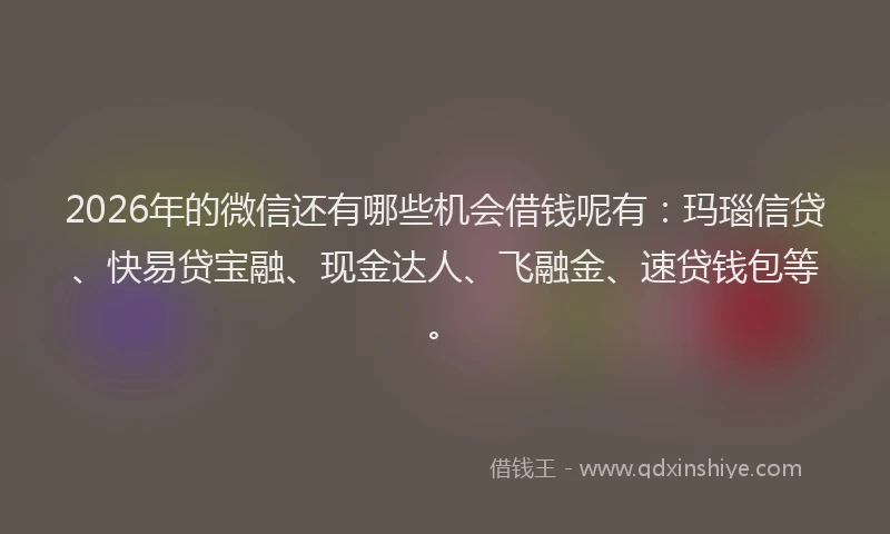 2026年的微信还有哪些机会借钱呢有：玛瑙信贷、快易贷宝融、现金达人、飞融金、速贷钱包等。