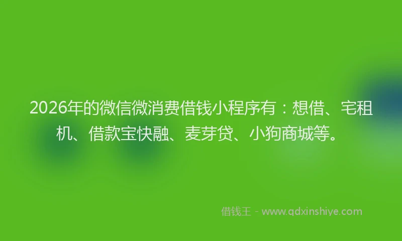 2026年的微信微消费借钱小程序有：想借、宅租机、借款宝快融、麦芽贷、小狗商城等。