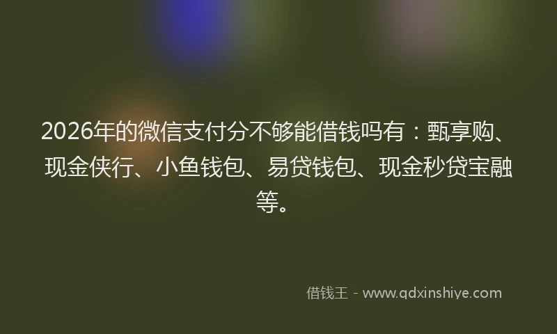 2026年的微信支付分不够能借钱吗有：甄享购、现金侠行、小鱼钱包、易贷钱包、现金秒贷宝融等。