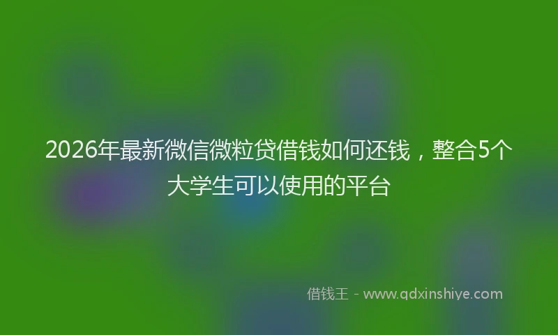 2026年最新微信微粒贷借钱如何还钱，整合5个大学生可以使用的平台
