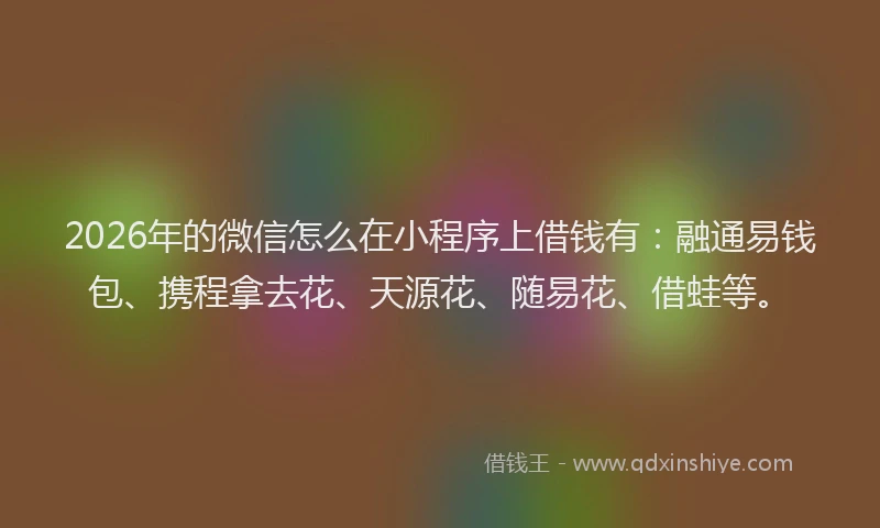2026年的微信怎么在小程序上借钱有：融通易钱包、携程拿去花、天源花、随易花、借蛙等。