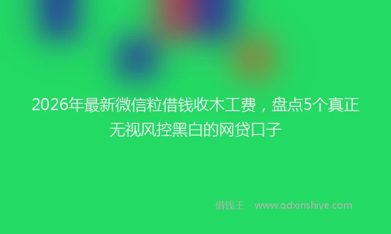 2026年最新微信粒借钱收木工费，盘点5个真正无视风控黑白的网贷口子