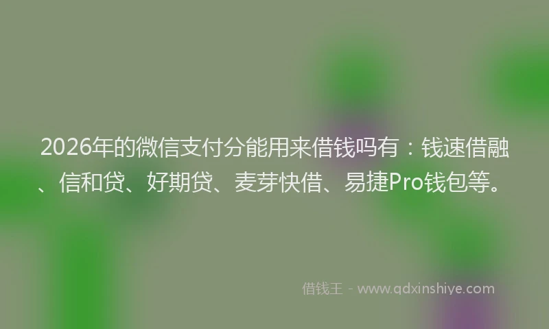 2026年的微信支付分能用来借钱吗有：钱速借融、信和贷、好期贷、麦芽快借、易捷Pro钱包等。