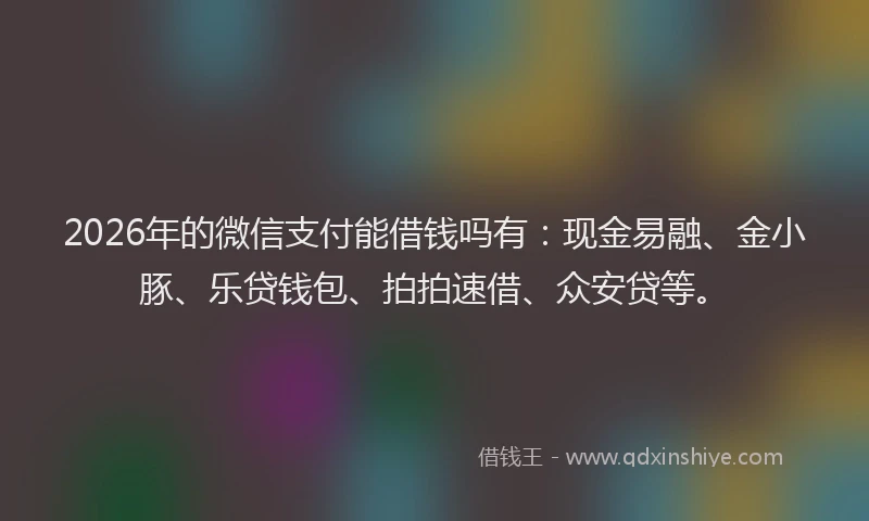 2026年的微信支付能借钱吗有：现金易融、金小豚、乐贷钱包、拍拍速借、众安贷等。