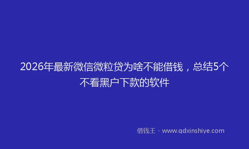 2026年最新微信微粒贷为啥不能借钱，总结5个不看黑户下款的软件