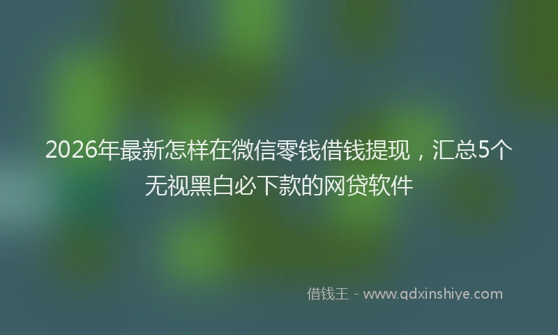 2026年最新怎样在微信零钱借钱提现，汇总5个无视黑白必下款的网贷软件