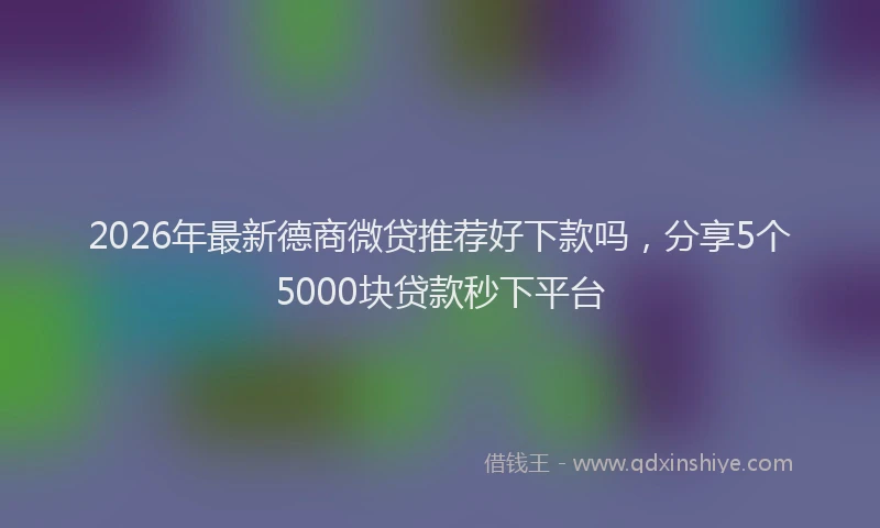 2026年最新德商微贷推荐好下款吗，分享5个5000块贷款秒下平台