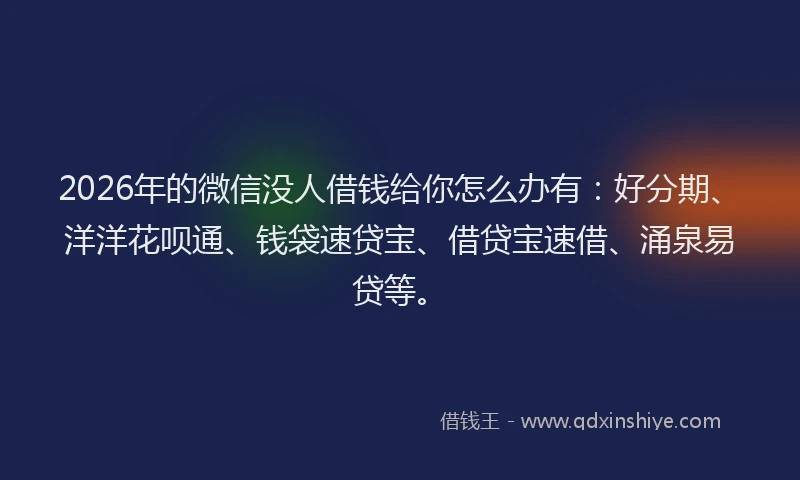 2026年的微信没人借钱给你怎么办有：好分期、洋洋花呗通、钱袋速贷宝、借贷宝速借、涌泉易贷等。