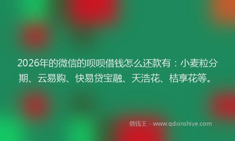 2026年的微信的呗呗借钱怎么还款有：小麦粒分期、云易购、快易贷宝融、天浩花、桔享花等。