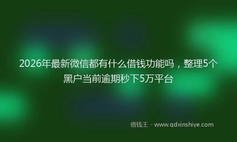 2026年最新微信都有什么借钱功能吗，整理5个黑户当前逾期秒下5万平台