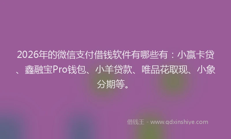 2026年的微信支付借钱软件有哪些有：小赢卡贷、鑫融宝Pro钱包、小羊贷款、唯品花取现、小象分期等。