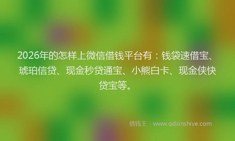 2026年的怎样上微信借钱平台有:钱袋速借宝、琥珀信贷、现金秒贷通宝、小熊白卡、现金侠快贷宝等。