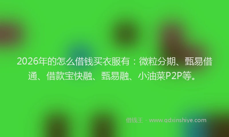 2026年的怎么借钱买衣服有：微粒分期、甄易借通、借款宝快融、甄易融、小油菜P2P等。