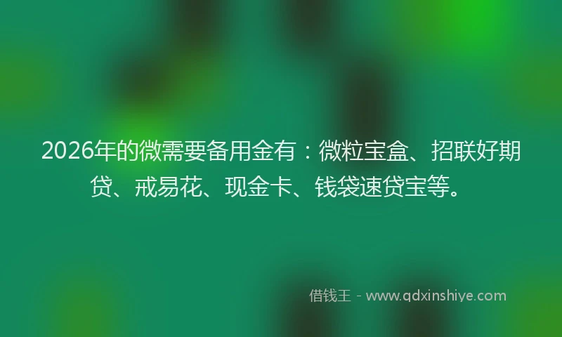 2026年的微需要备用金有：微粒宝盒、招联好期贷、戒易花、现金卡、钱袋速贷宝等。