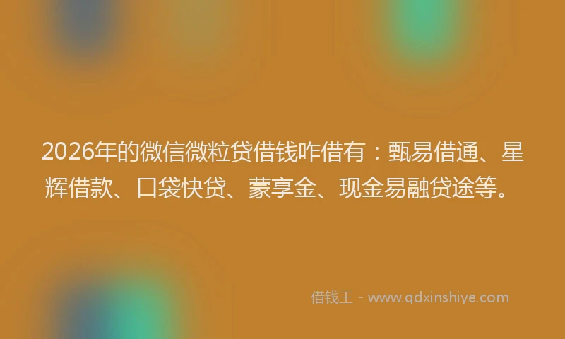 2026年的微信微粒贷借钱咋借有：甄易借通、星辉借款、口袋快贷、蒙享金、现金易融贷途等。