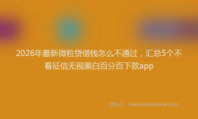 2026年最新微粒贷借钱怎么不通过，汇总5个不看征信无视黑白百分百下款app