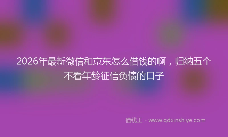 2026年最新微信和京东怎么借钱的啊，归纳五个不看年龄征信负债的口子