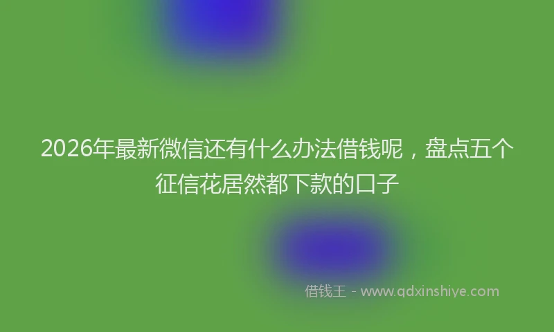 2026年最新微信还有什么办法借钱呢，盘点五个征信花居然都下款的口子
