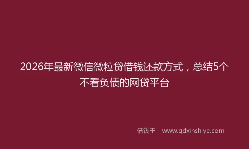 2026年最新微信微粒贷借钱还款方式，总结5个不看负债的网贷平台