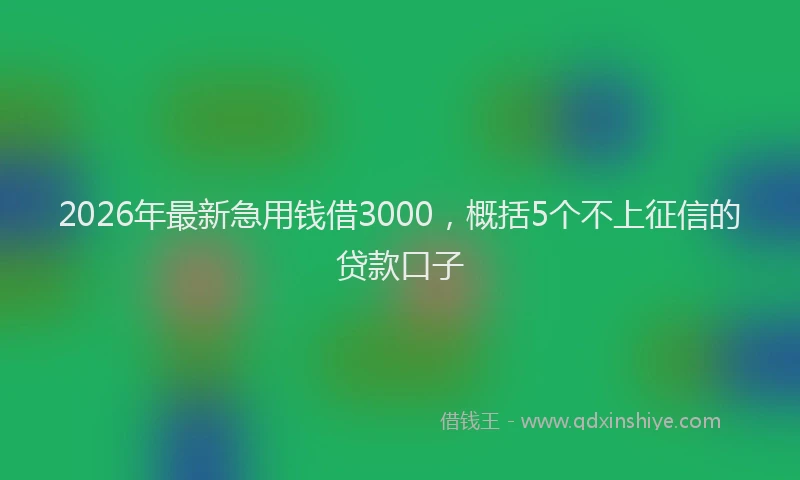 2026年最新急用钱借3000，概括5个不上征信的贷款口子