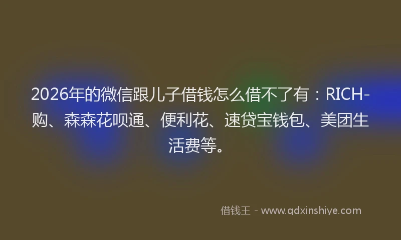 2026年的微信跟儿子借钱怎么借不了有：RICH-购、森森花呗通、便利花、速贷宝钱包、美团生活费等。