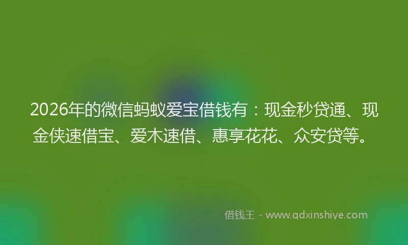 2026年的微信蚂蚁爱宝借钱有：现金秒贷通、现金侠速借宝、爱木速借、惠享花花、众安贷等。
