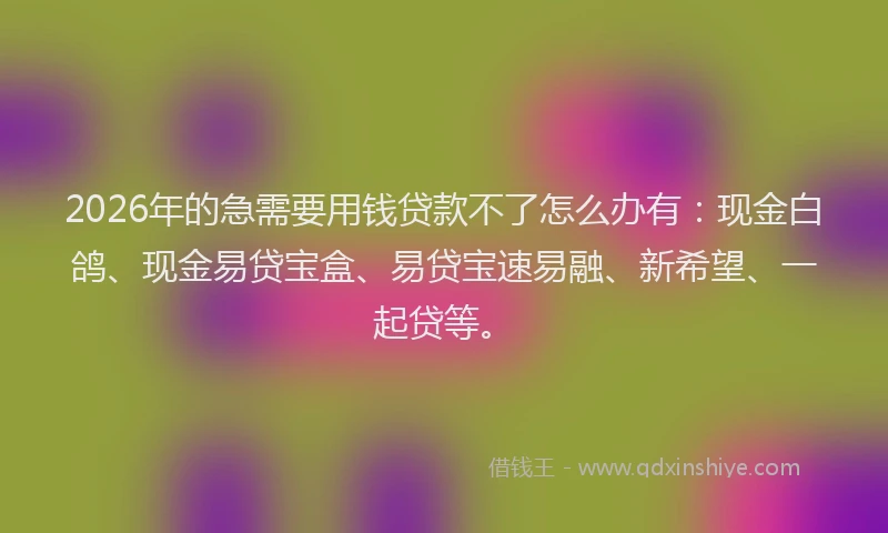 2026年的急需要用钱贷款不了怎么办有：现金白鸽、现金易贷宝盒、易贷宝速易融、新希望、一起贷等。