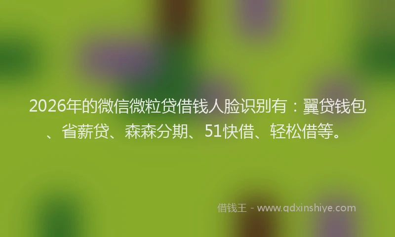 2026年的微信微粒贷借钱人脸识别有：翼贷钱包、省薪贷、森森分期、51快借、轻松借等。