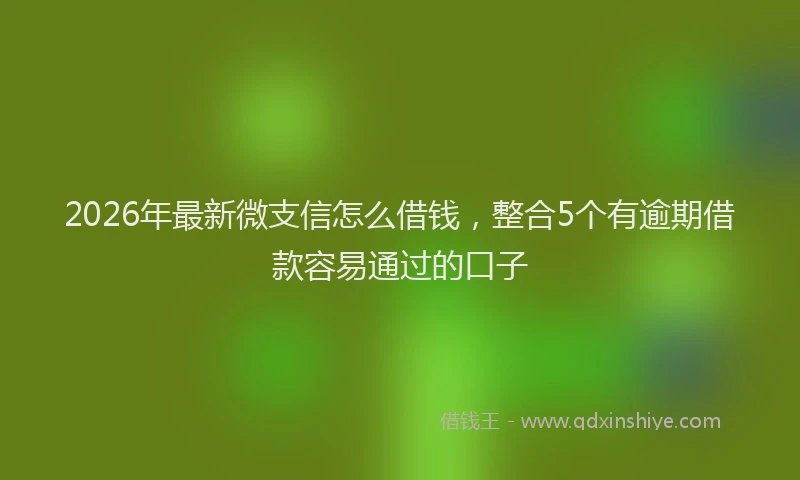 2026年最新微支信怎么借钱，整合5个有逾期借款容易通过的口子