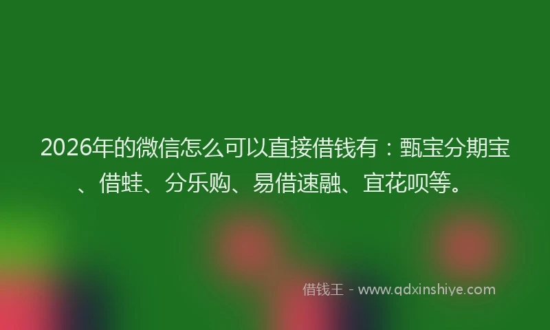 2026年的微信怎么可以直接借钱有：甄宝分期宝、借蛙、分乐购、易借速融、宜花呗等。