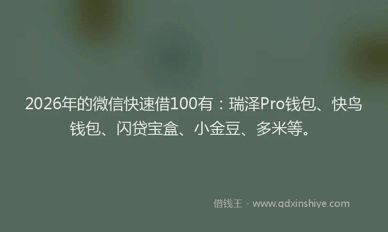 2026年的微信快速借100有：瑞泽Pro钱包、快鸟钱包、闪贷宝盒、小金豆、多米等。