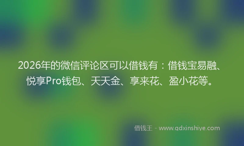 2026年的微信评论区可以借钱有：借钱宝易融、悦享Pro钱包、天天金、享来花、盈小花等。