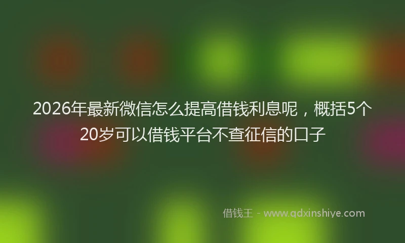 2026年最新微信怎么提高借钱利息呢，概括5个20岁可以借钱平台不查征信的口子