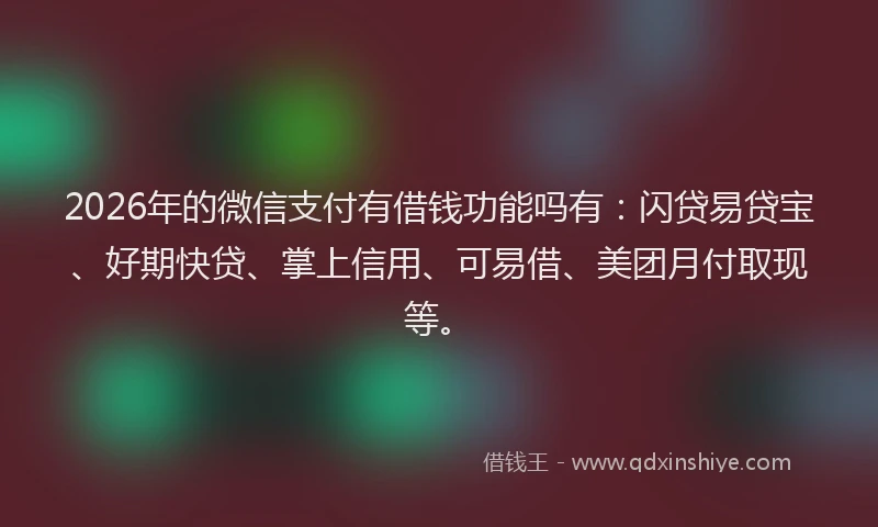 2026年的微信支付有借钱功能吗有：闪贷易贷宝、好期快贷、掌上信用、可易借、美团月付取现等。
