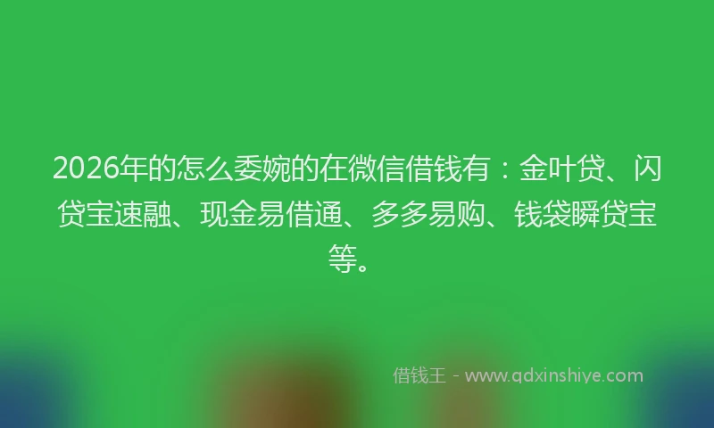 2026年的怎么委婉的在微信借钱有：金叶贷、闪贷宝速融、现金易借通、多多易购、钱袋瞬贷宝等。