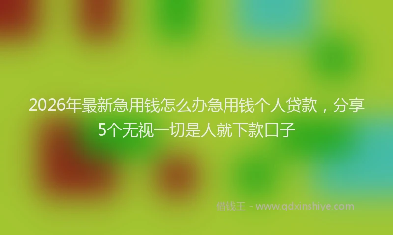 2026年最新急用钱怎么办急用钱个人贷款，分享5个无视一切是人就下款口子