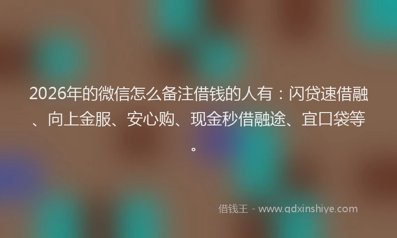 2026年的微信怎么备注借钱的人有：闪贷速借融、向上金服、安心购、现金秒借融途、宜口袋等。