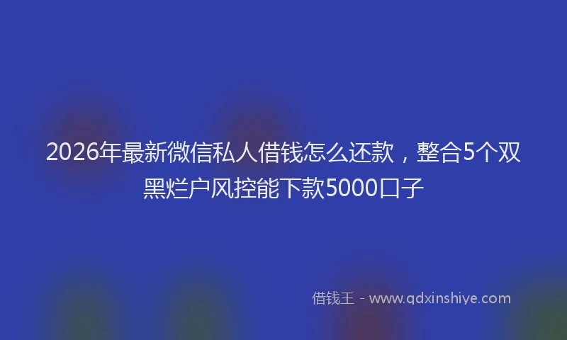 2026年最新微信私人借钱怎么还款，整合5个双黑烂户风控能下款5000口子