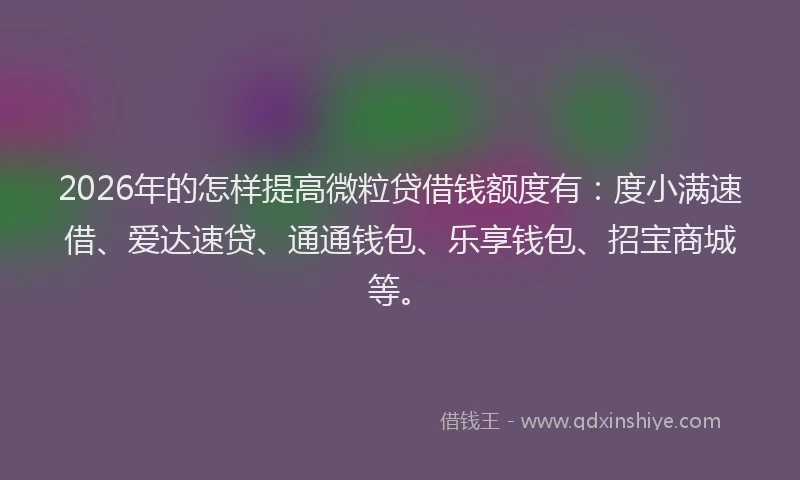 2026年的怎样提高微粒贷借钱额度有：度小满速借、爱达速贷、通通钱包、乐享钱包、招宝商城等。