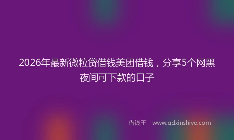 2026年最新微粒贷借钱美团借钱，分享5个网黑夜间可下款的口子
