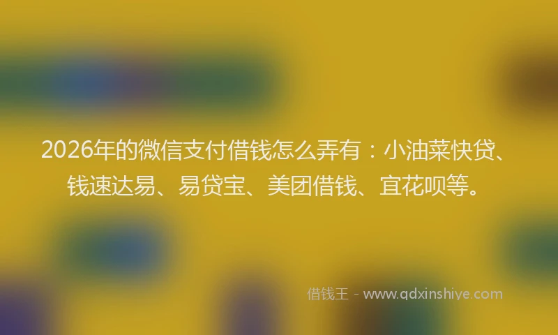 2026年的微信支付借钱怎么弄有：小油菜快贷、钱速达易、易贷宝、美团借钱、宜花呗等。