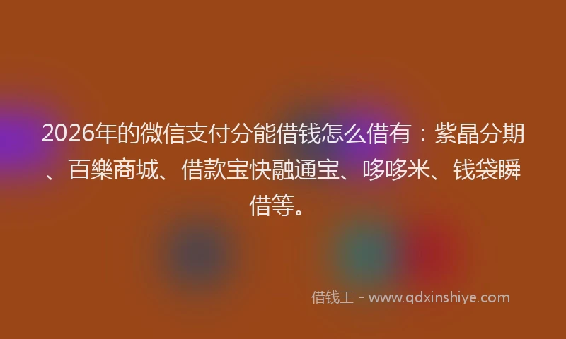 2026年的微信支付分能借钱怎么借有：紫晶分期、百樂商城、借款宝快融通宝、哆哆米、钱袋瞬借等。