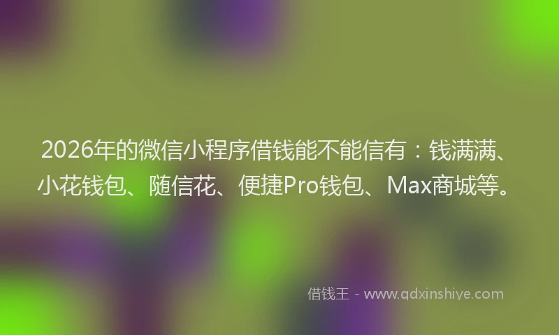 2026年的微信小程序借钱能不能信有：钱满满、小花钱包、随信花、便捷Pro钱包、Max商城等。