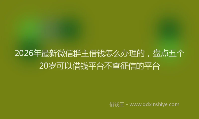 2026年最新微信群主借钱怎么办理的，盘点五个20岁可以借钱平台不查征信的平台