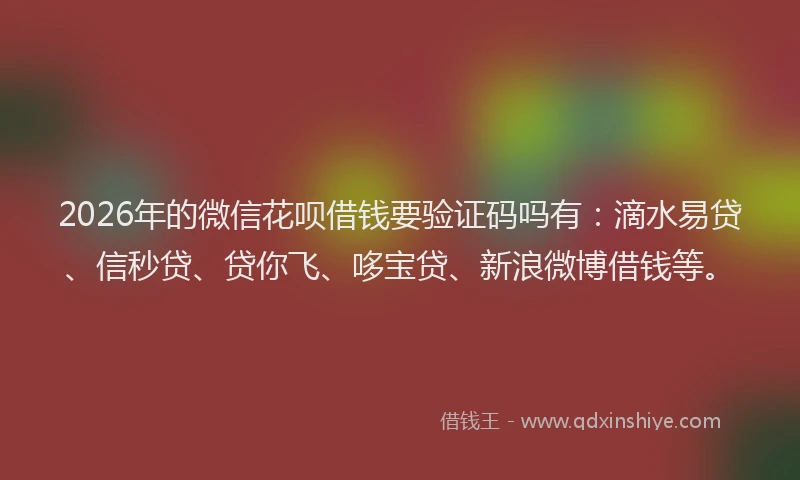 2026年的微信花呗借钱要验证码吗有：滴水易贷、信秒贷、贷你飞、哆宝贷、新浪微博借钱等。